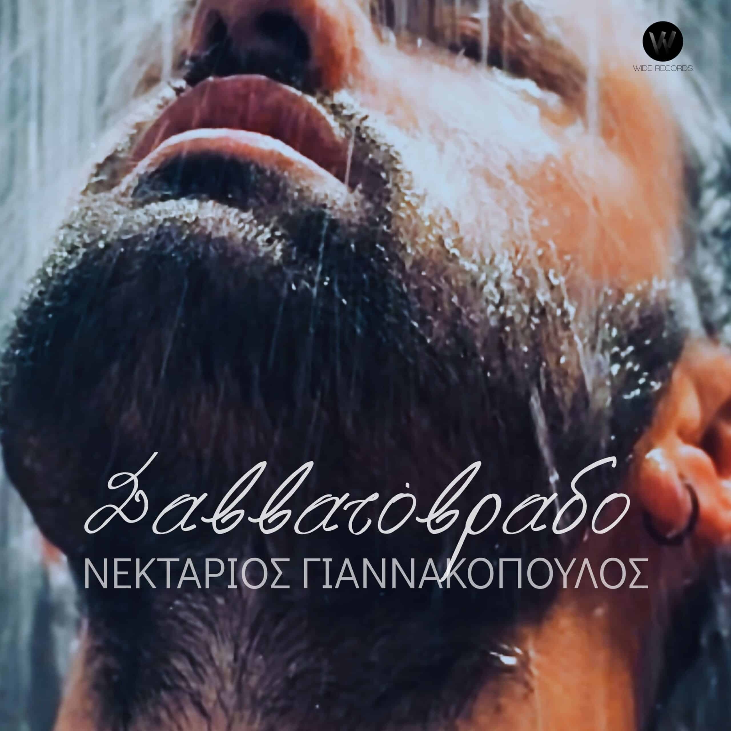 Cover: Savvatovrado, Nektarios Giannakopoulos
